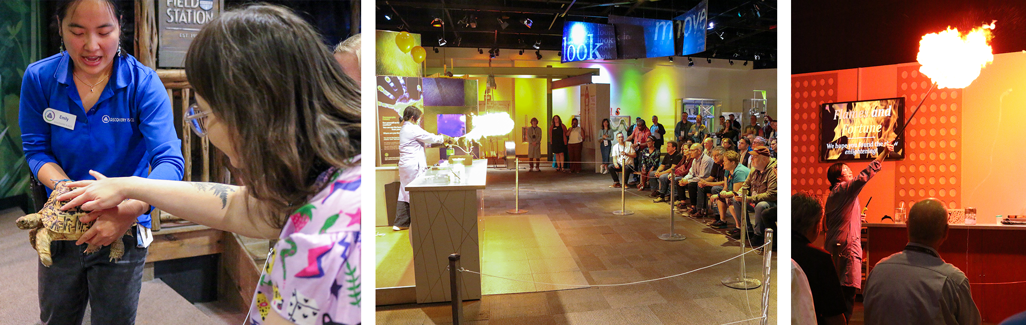 Photos from the ARIN 55 Social at the Discovery Place Science museum