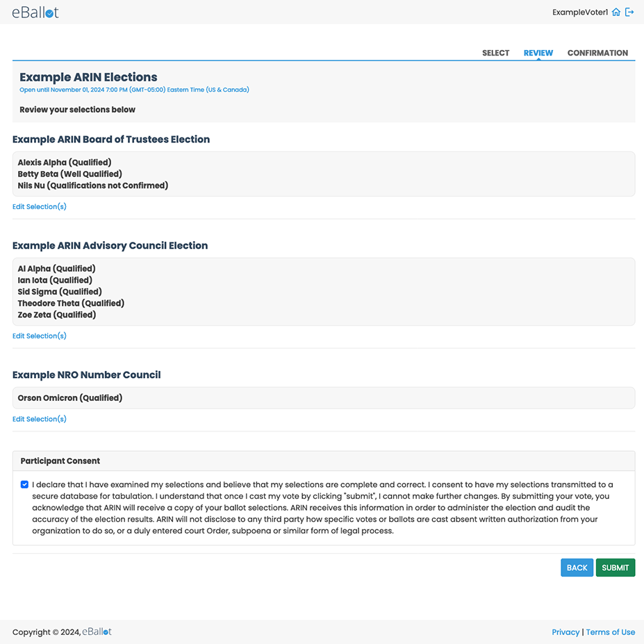 Screen shot of Ballot Choice Confirmation